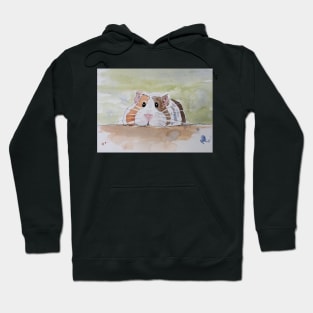 Ginger, white and black Guinea pig Hoodie